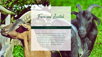 농장과 가축 파워포인트 프레젠테이션_20