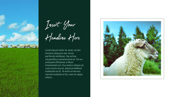 농장과 가축 파워포인트 프레젠테이션_21