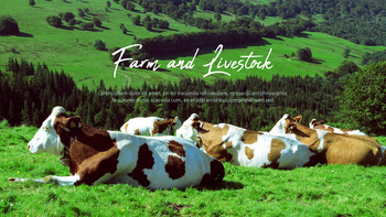 농장과 가축 파워포인트 프레젠테이션_24