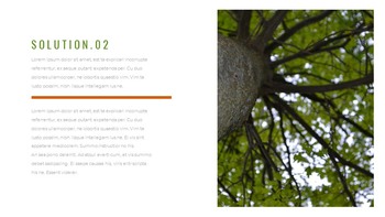 林业 谷歌幻灯片模板为您的下一次演示_18