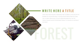 林业 谷歌幻灯片模板为您的下一次演示_24