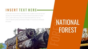 林业 谷歌幻灯片模板为您的下一次演示_26