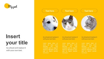 Il mio animale domestico Diapositive di presentazione di Google_10