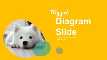 My Pet Google Presentation Slides_29