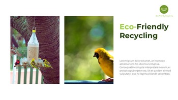 Reciclaje ecológico Temas y plantillas de Presentaciones de Google_18