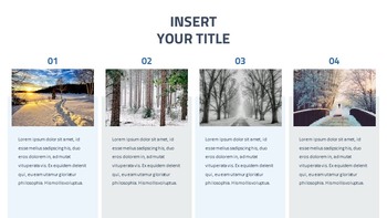 Winter Presentation Google Slides Templates_17