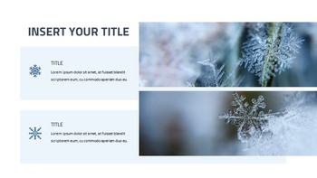 Winter Presentation Google Slides Templates_20