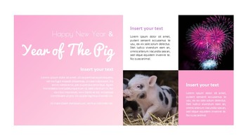 Year of The Pig Google Slides Themes_09