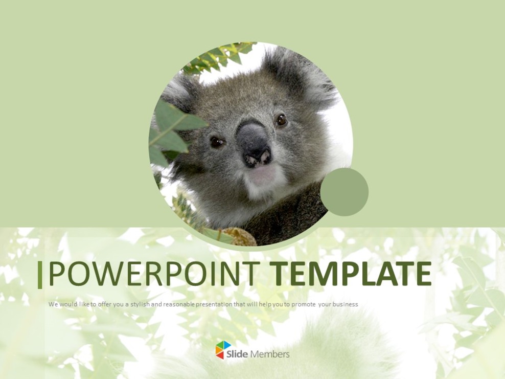 A Cute KoalA - Free Template Design