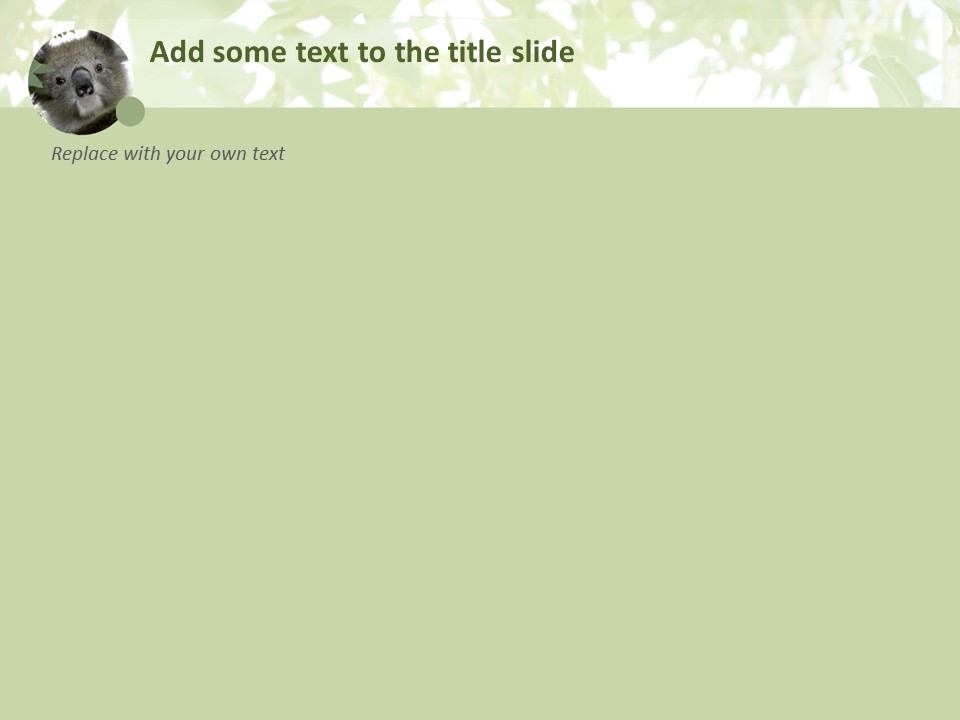 A Cute KoalA - Free Template Design