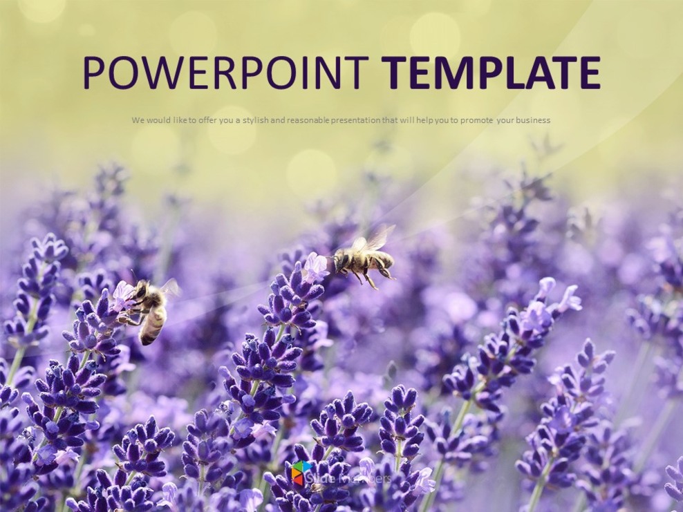 Lavender Scent - Free Powerpoint Templates Design_01