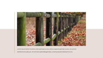 落下 简易谷歌幻灯片_04