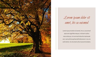 落下 简易谷歌幻灯片_08