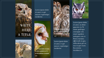 올빼미 슬라이드 PPT_15