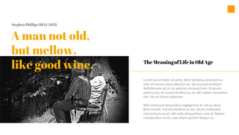 老年生活的意义 最好的PowerPoint模板_04