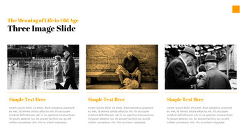 老年生活的意义 最好的PowerPoint模板_07