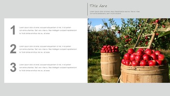 Autumn Season Google Slides Presentation Templates_06