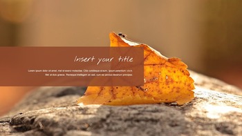 Autumn Season Google Slides Presentation Templates_24