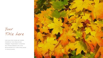 Autumn Season Google Slides Presentation Templates_35