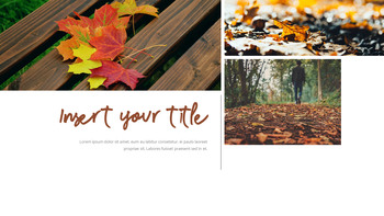 金秋时节 简单的模板_05