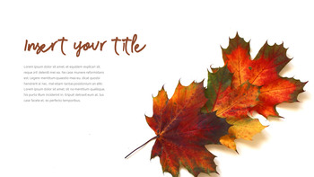 金秋时节 简单的模板_07