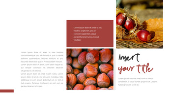 金秋时节 简单的模板_08