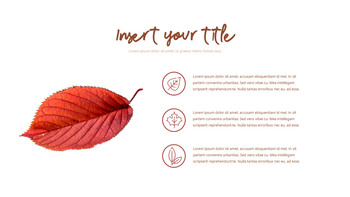 金秋时节 简单的模板_16