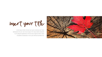 金秋时节 简单的模板_17