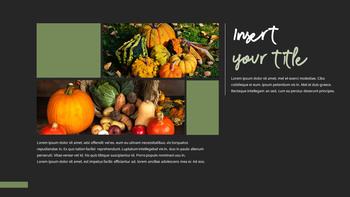 金秋时节 简单的模板_18