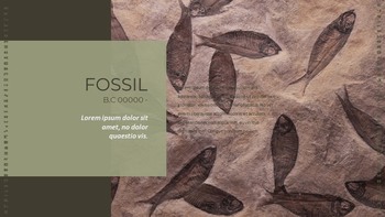 Fossile Semplici modelli di diapositive_05