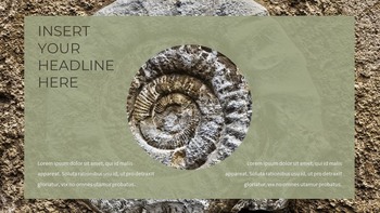 Fossil Einfache Folienvorlagen_12