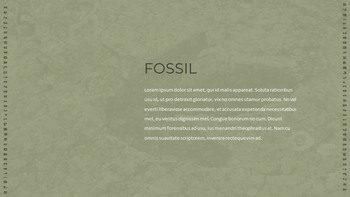 Fossil Simple Slides Templates_18