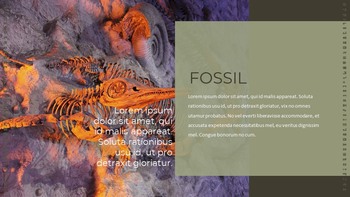 Fossile Semplici modelli di diapositive_20