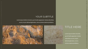 Fossil Simple Slides Templates_23