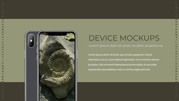 Fossil Simple Slides Templates_39