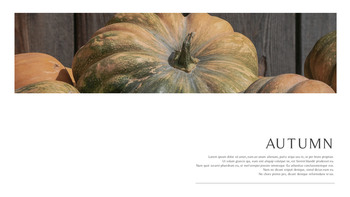 AUTUMN Best PowerPoint Templates_09