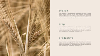 AUTUMN Best PowerPoint Templates_11