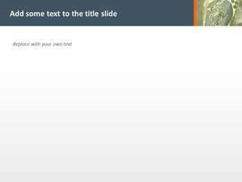 Google Slides online Free - Shooting Practice_05
