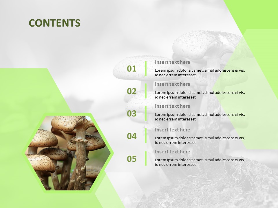 mushroom template ppt