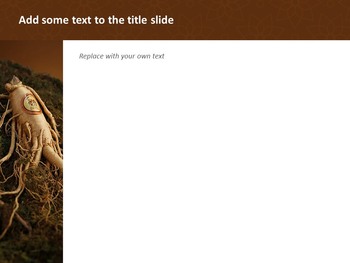 Google Slides online Free - Ginseng_04
