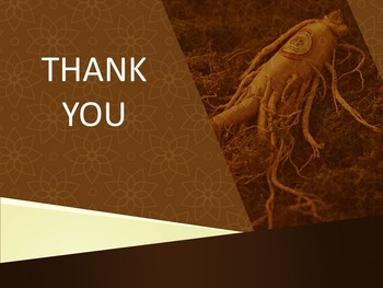 Google Slides online Free - Ginseng_06