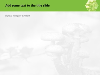 Mushrooms on Mountains - Google Slides Images Free Download_05