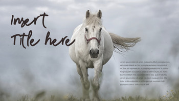 骑术 背景PowerPoint._04