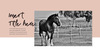 骑术 背景PowerPoint._06