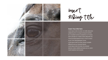 骑术 背景PowerPoint._12