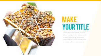 蜜蜂 创建PowerPoint演示文稿_16