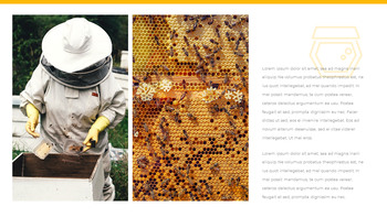 蜜蜂 创建PowerPoint演示文稿_23