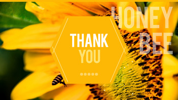 蜜蜂 创建PowerPoint演示文稿_40