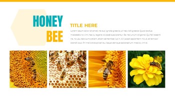 蜜蜂 创意谷歌幻灯片_05