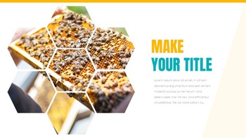 蜜蜂 创意谷歌幻灯片_16